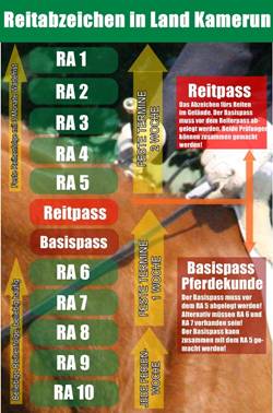Informationen zu den neuen Reitabzeichen