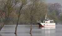 Fahrgastschiff auf der Elbe