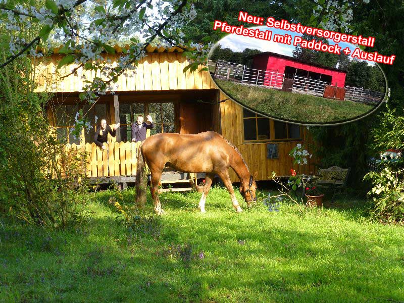 Leben mit Pferden - Wohnen im Reiterdorf Lüneburger Heide